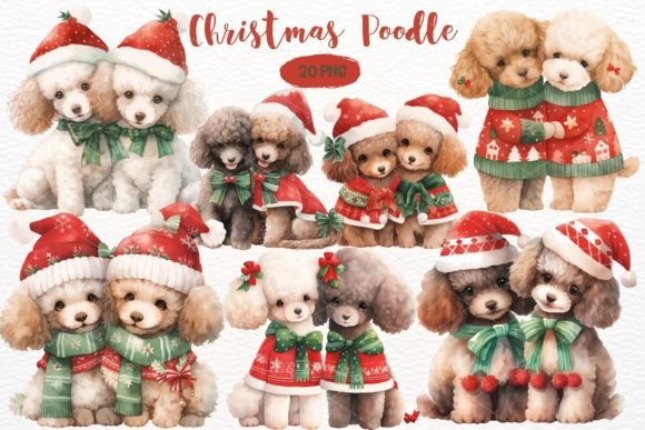Christmas Poodle Watercolor Clipart PNG for Illustrations