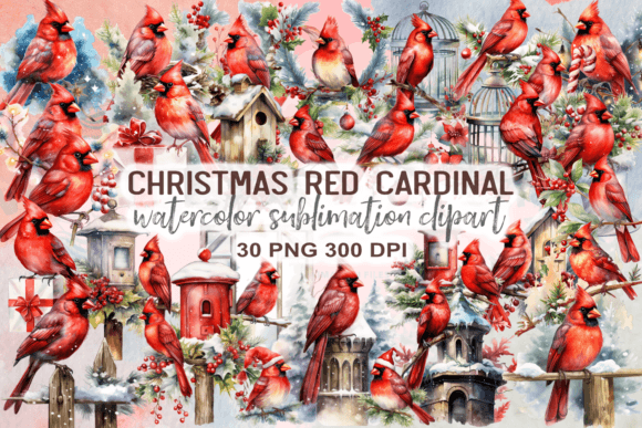 Christmas Red Cardinal Sublimation for Festive Illustrations